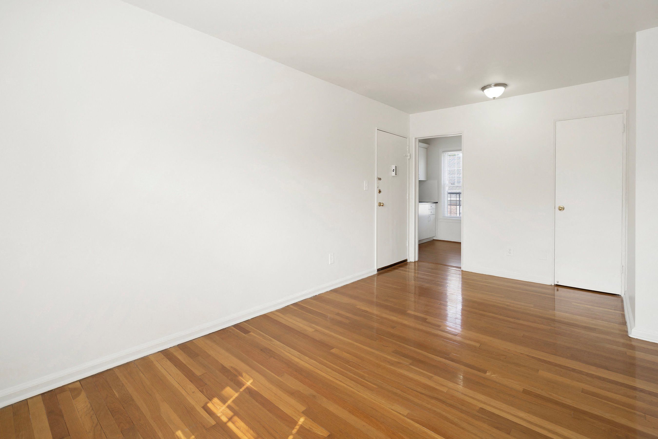 Gallery Photo 11
